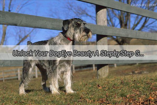 Unlock Your DogEye Beauty A StepbyStep Guide to Mastering Double Eyelid Stickers for Pups